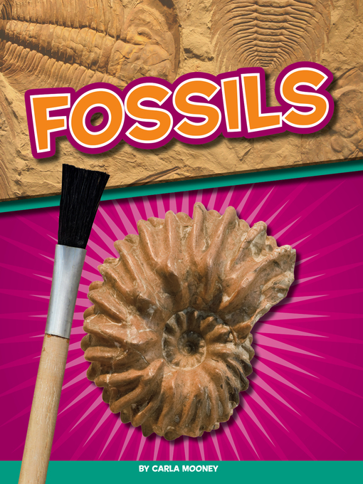 Cover image for Fossils